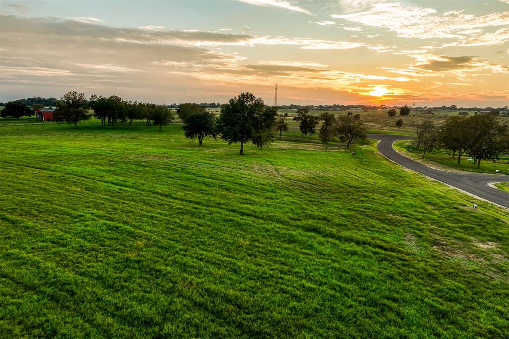 TBD Sunny Meadow Lot 25 Drive, Chappell Hill, Texas image 14