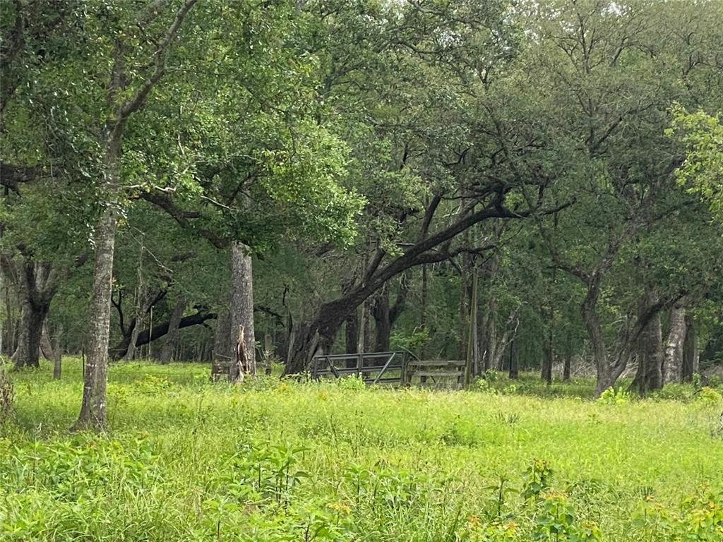 20703 Forest Road, Damon, Texas image 9