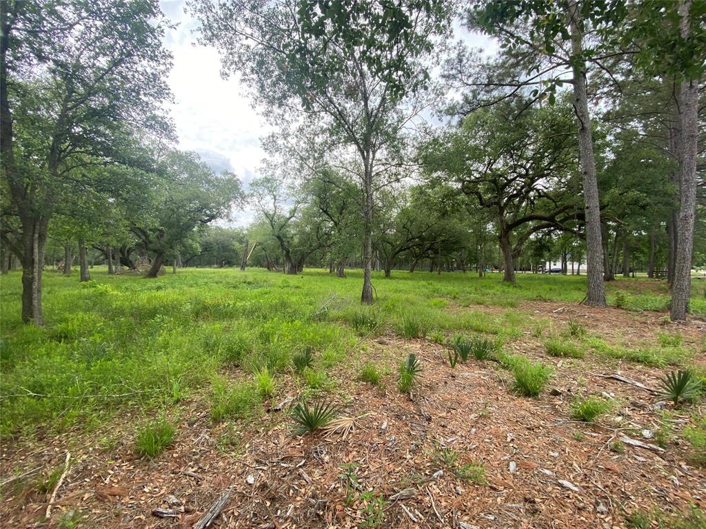 20703 Forest Road, Damon, Texas image 3