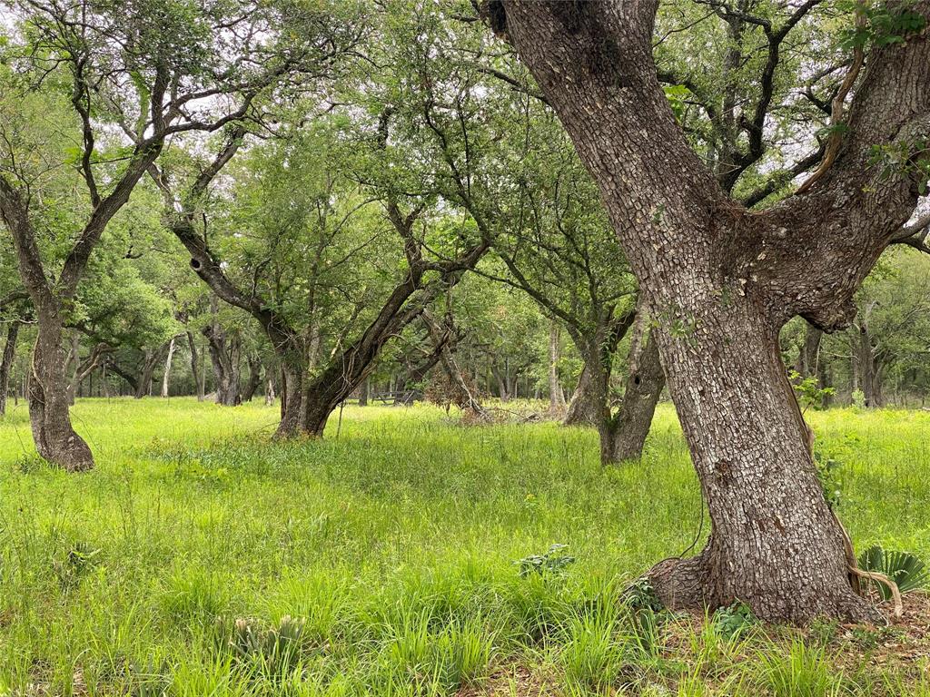 20703 Forest Road, Damon, Texas image 1