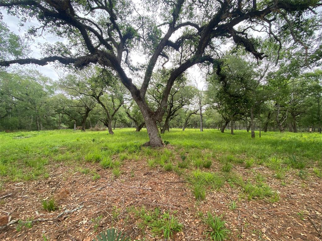 20703 Forest Road, Damon, Texas image 5