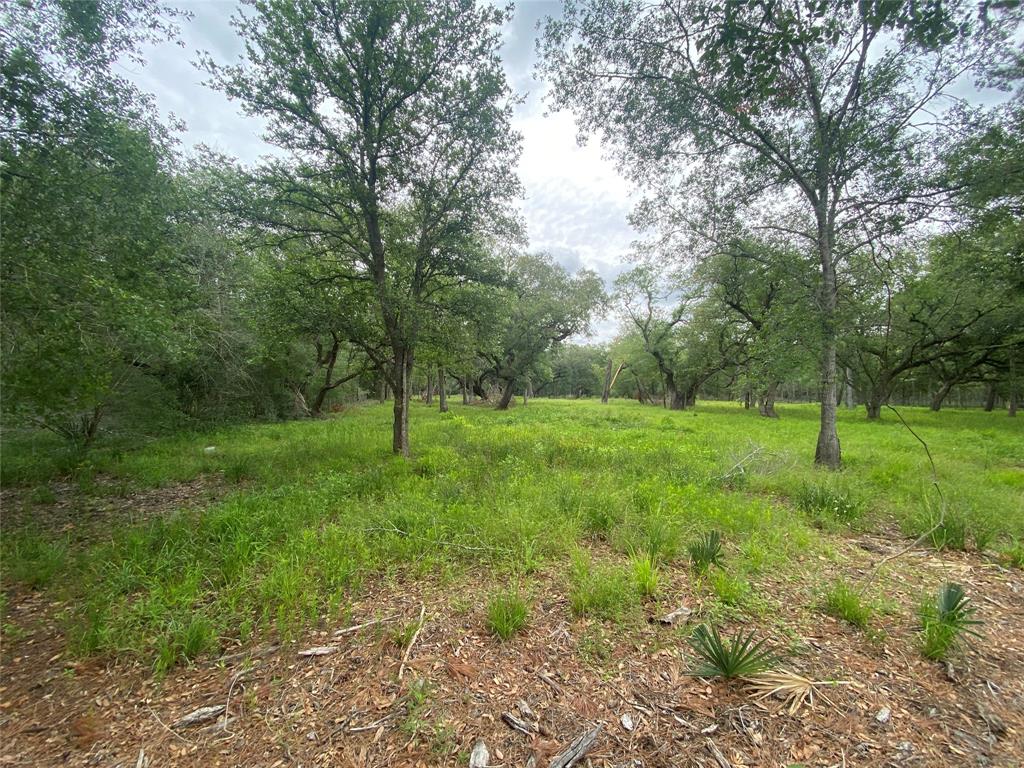 20703 Forest Road, Damon, Texas image 4