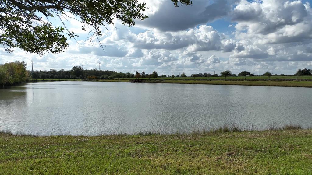 00 Bartlett Road Lot 7, Sealy, Texas image 30