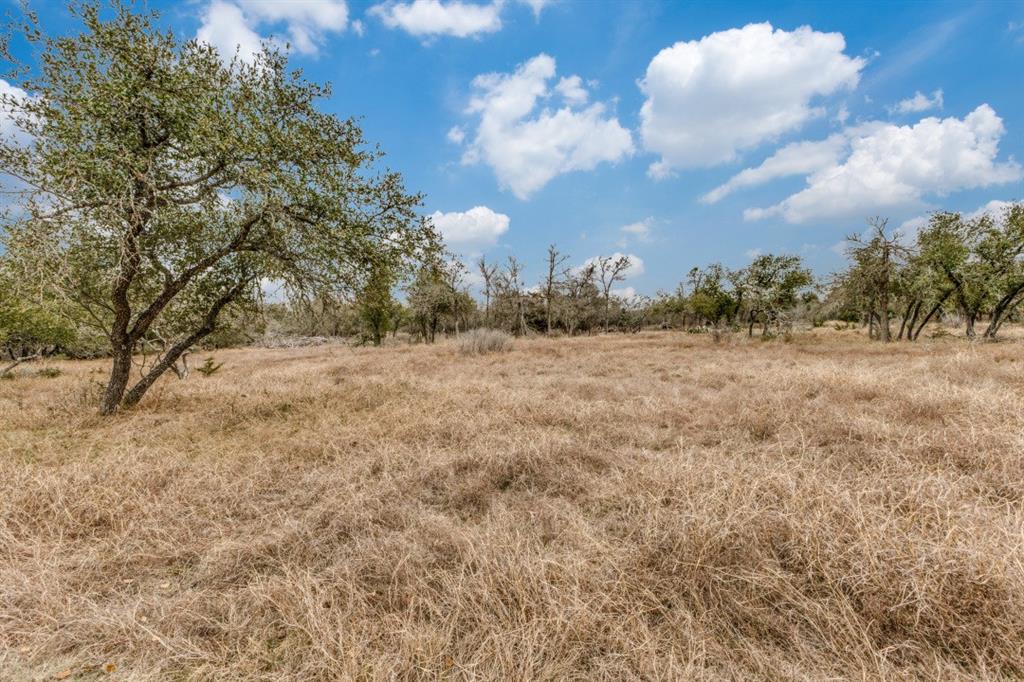 400 Redbird Road, Georgetown, Texas image 9