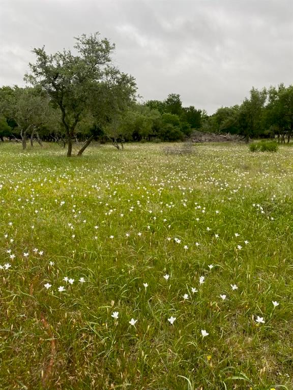 400 Redbird Road, Georgetown, Texas image 6