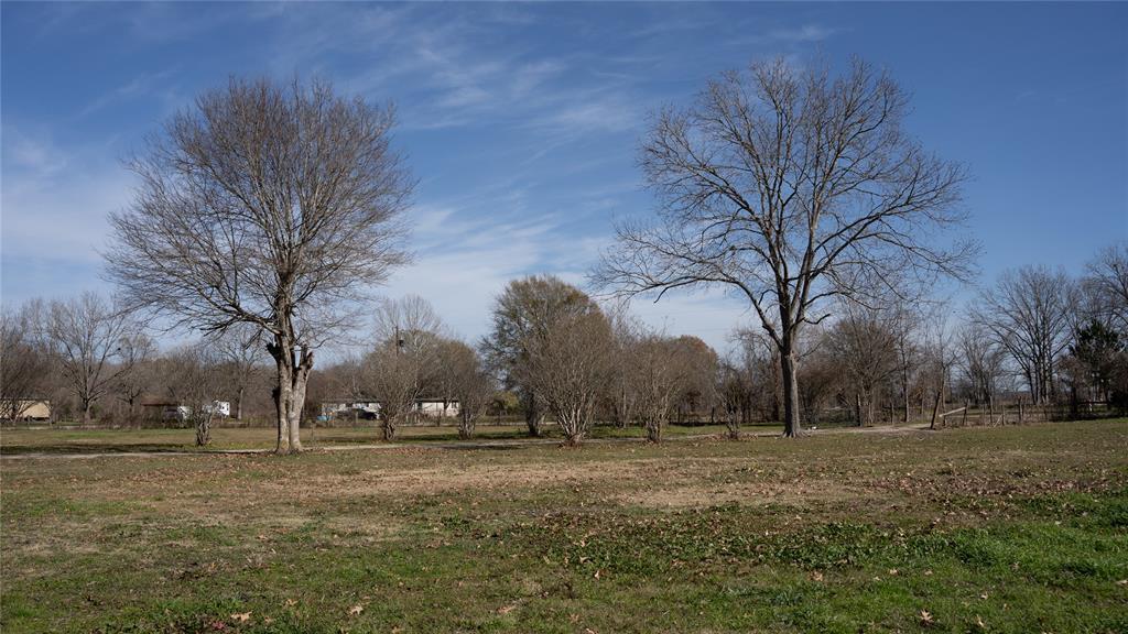 300 Hay Meadow Lane, Shepherd, Texas image 19