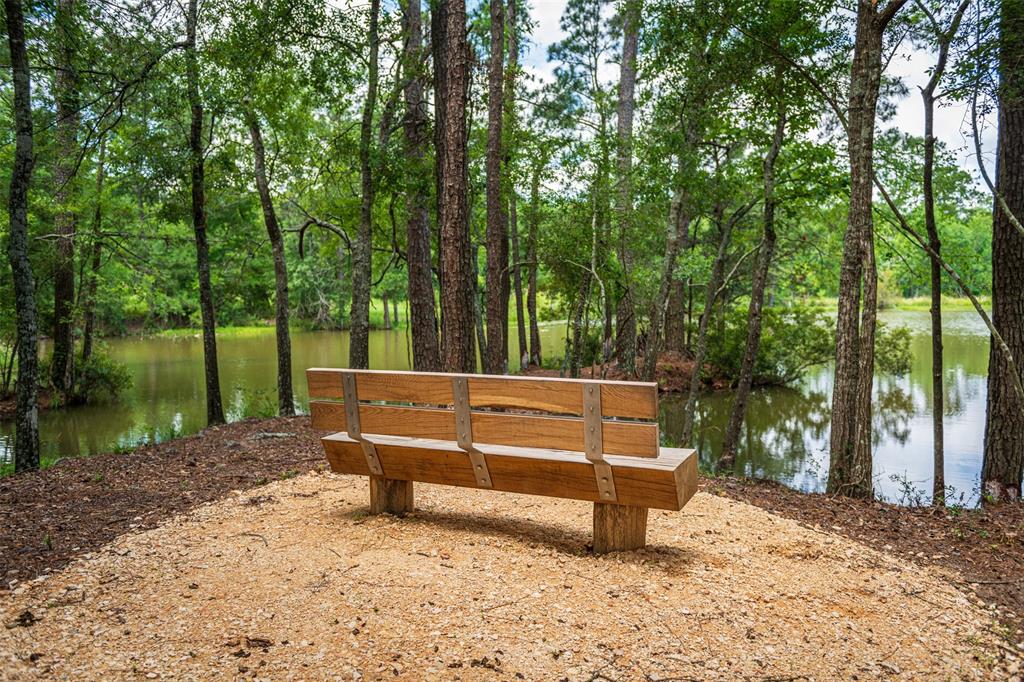 14615 Cedar Elm Court, Willis, Texas image 7
