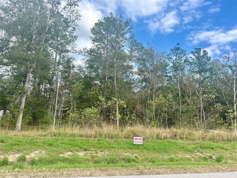 Vacant Land For Sale - 1535 County Road 632<br/> Dayton, TX 77535