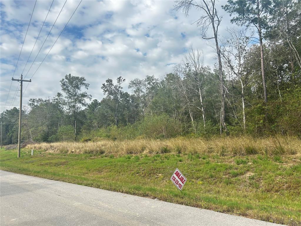 1535 County Road 632, Dayton, Texas image 2