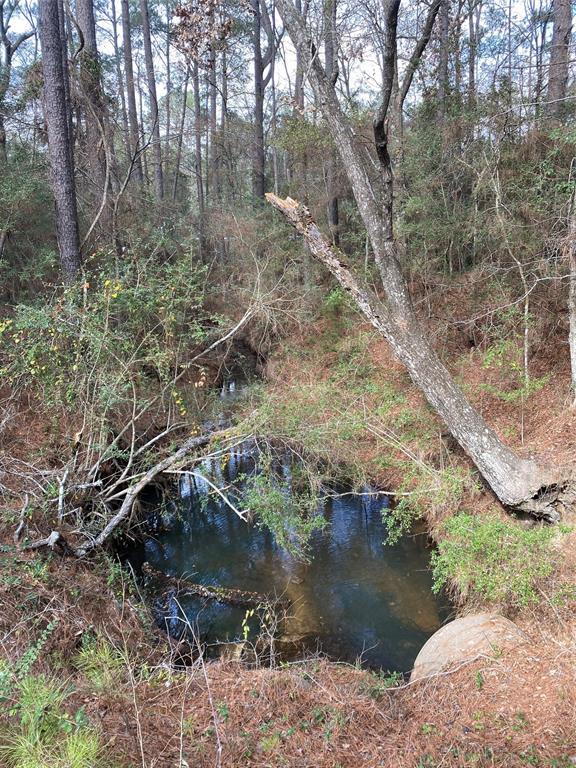 Council Ct, Hempstead, Texas image 3