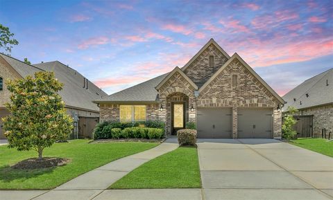 16819 Big Reed Drive Humble TX 77346