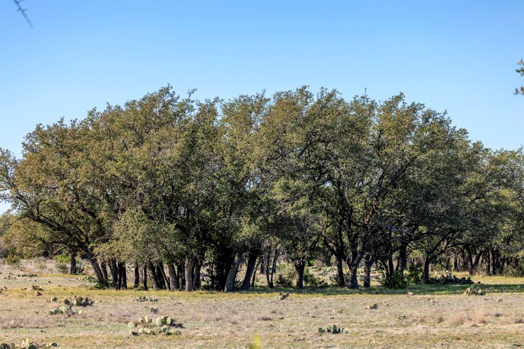 000 Deberry Lane, Sonora, Texas image 28