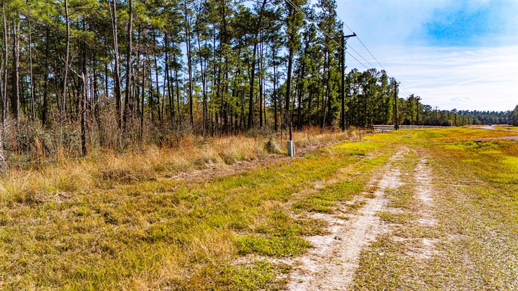 0212 Fm 3459 Road, Onalaska, Texas image 6