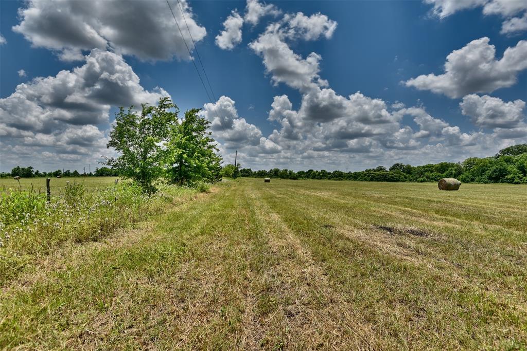 TBD Century Farms Road, Burton, Texas image 12