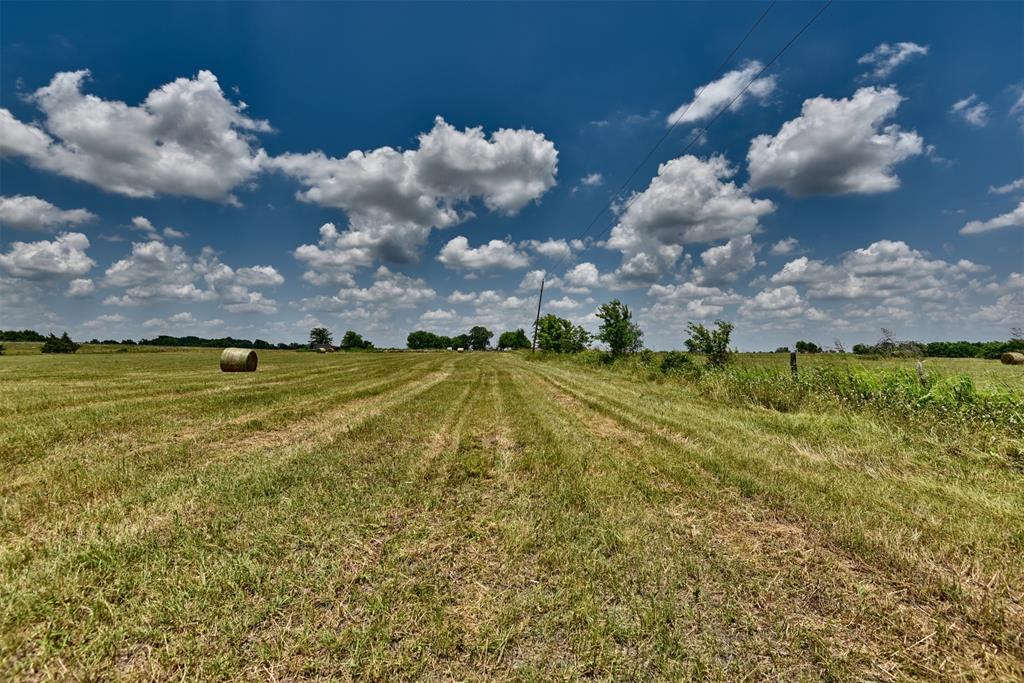 TBD Century Farms Road, Burton, Texas image 8