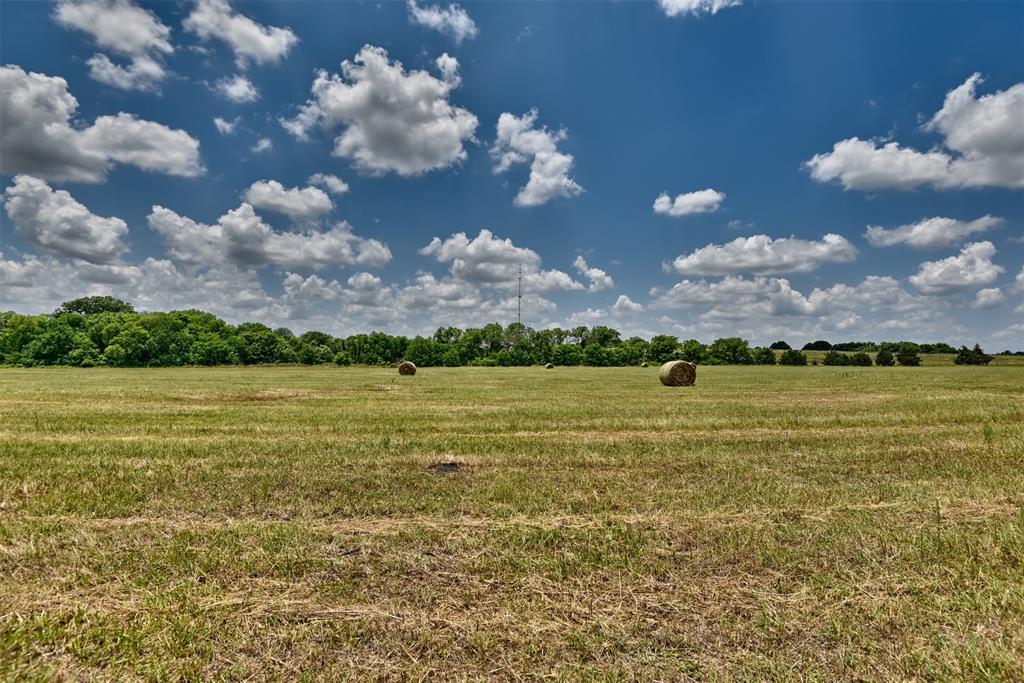 TBD Century Farms Road, Burton, Texas image 9