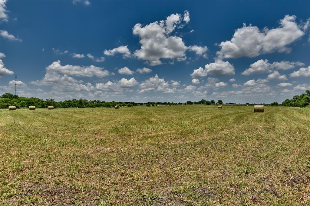 TBD Century Farms Road, Burton, Texas image 14