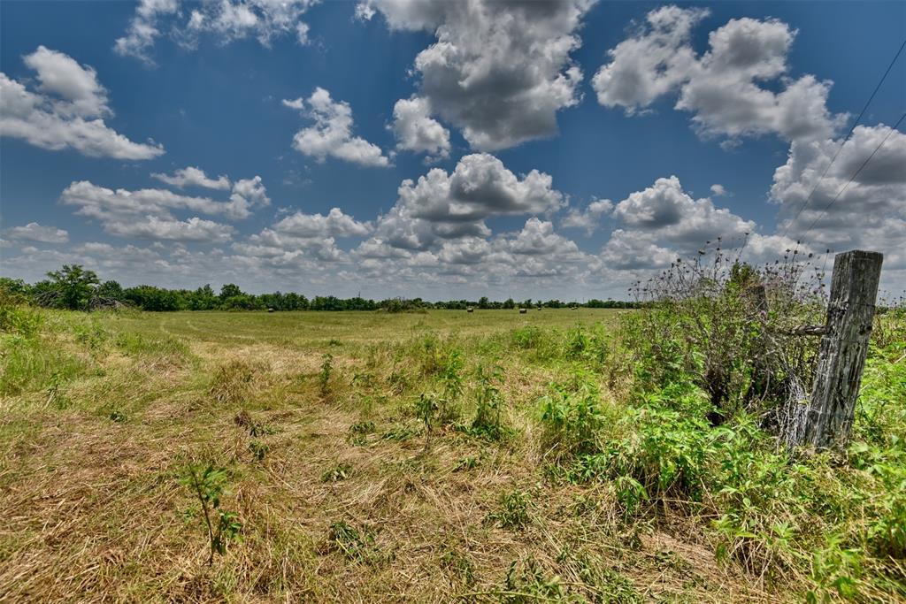 TBD Century Farms Road, Burton, Texas image 10