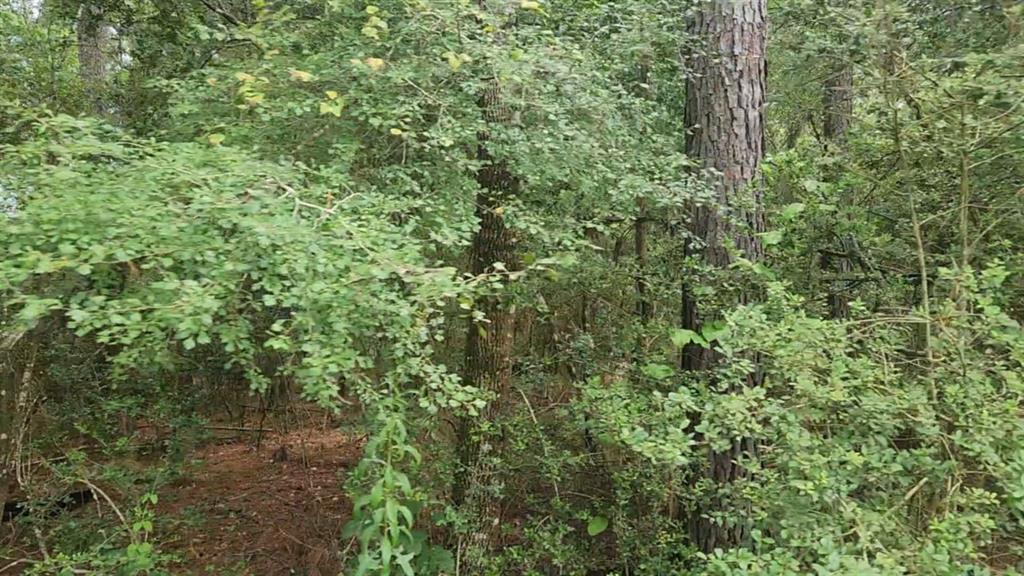 Lot 7 Cherry Tree Lane