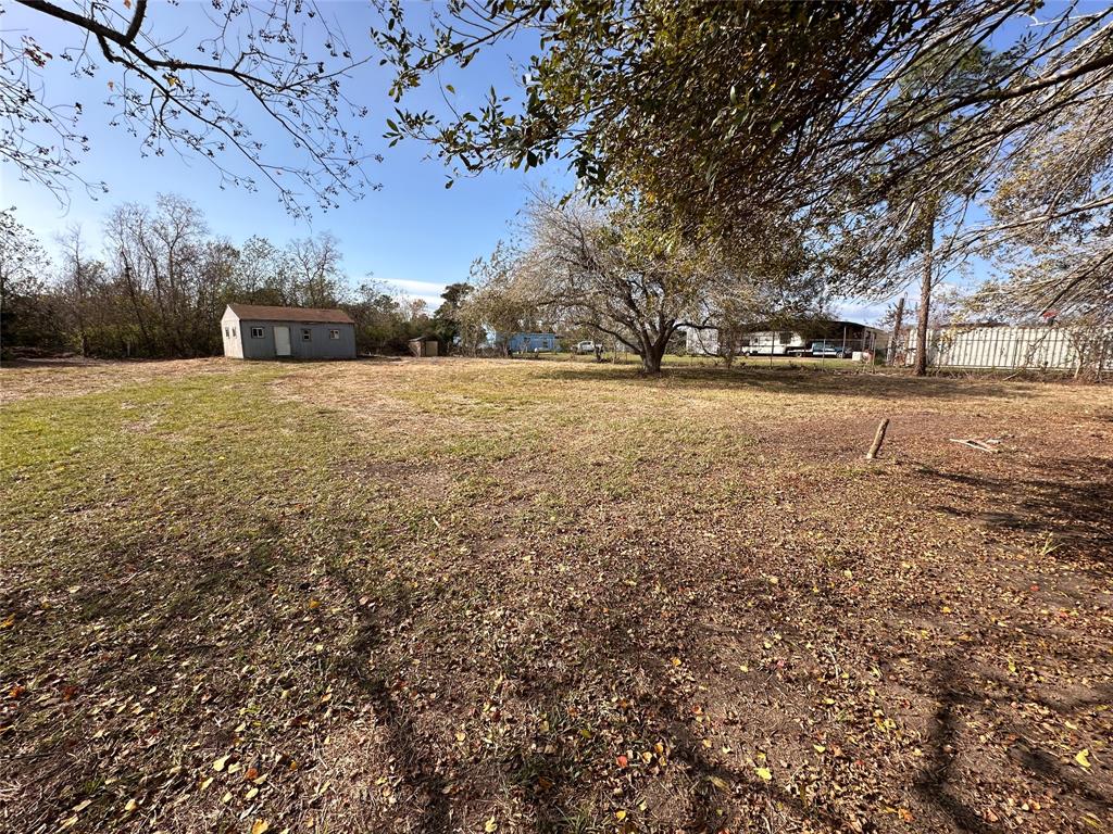 14515 Oleo Street, Santa Elena, Texas image 9