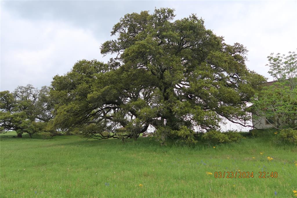 000 Fm 109, Columbus, Texas image 7