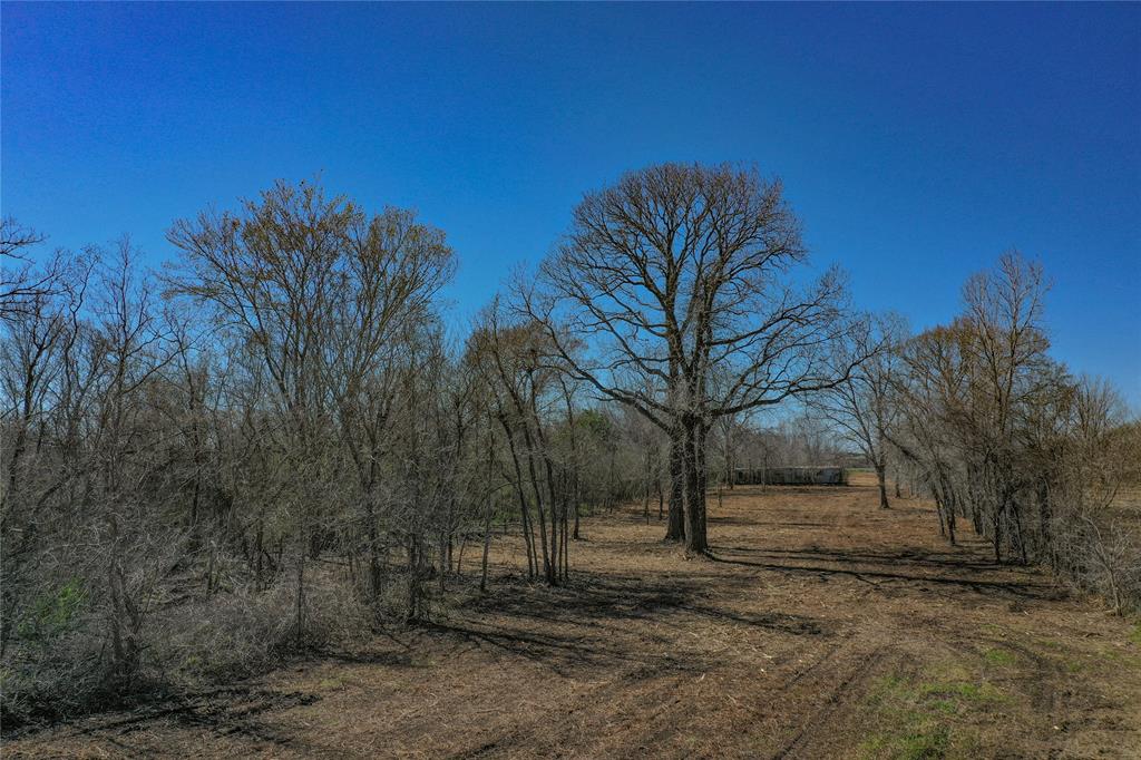 000 E Bu 59 R Highway, Hungerford, Texas image 3