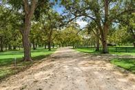 32902 Southern Manors Drive, Fulshear, Texas image 9