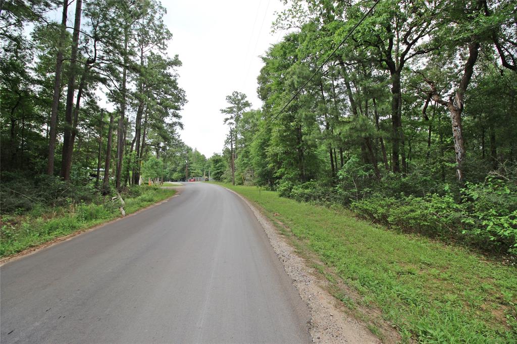 1311 Pinebrook Drive, Plantersville, Texas image 8