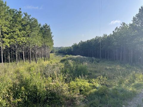 Photo of 45 Cr 1060, Center, TX 75935 (MLS # 73859968) Photo of 45 Cr 1060, Center, TX 75935 (MLS # 73859968)