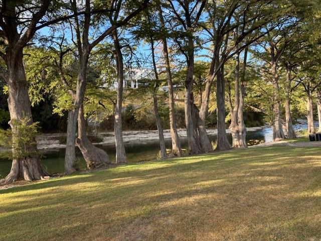 185 Polly Drive, Canyon Lake, Texas image 17