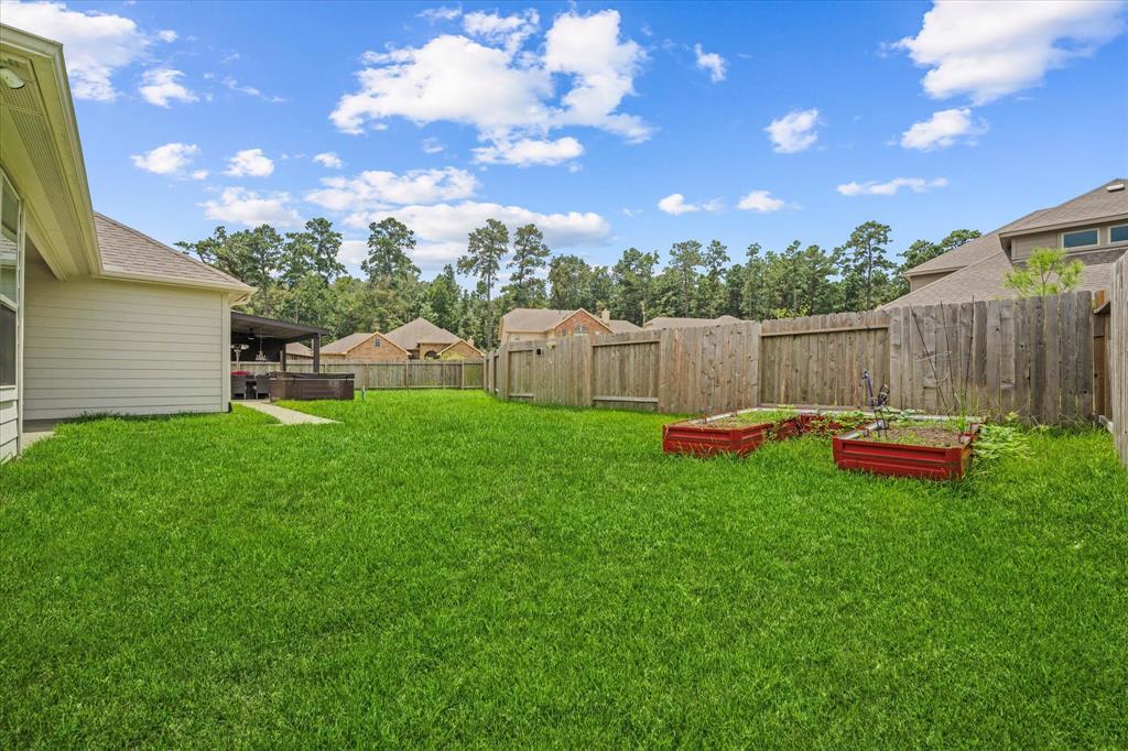 14209 Castolon Court, Conroe, Texas image 32
