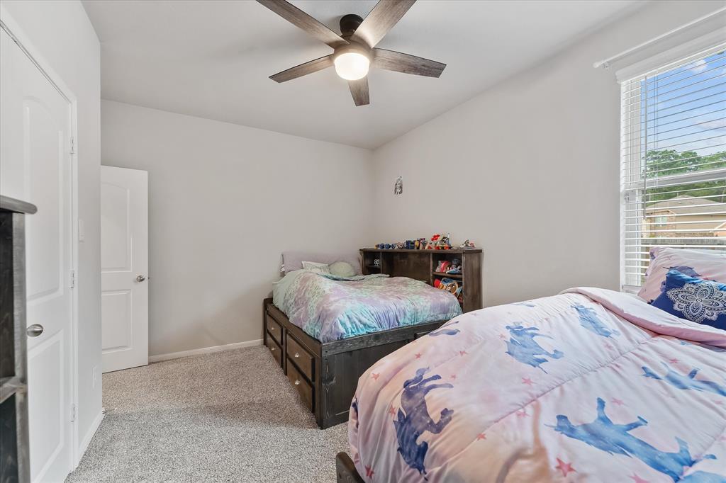 14209 Castolon Court, Conroe, Texas image 26