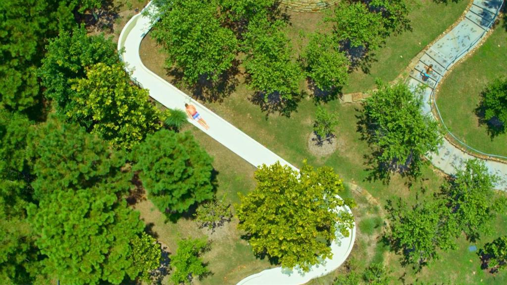 29610 Twisted Tree Trail, Fulshear, Texas image 6