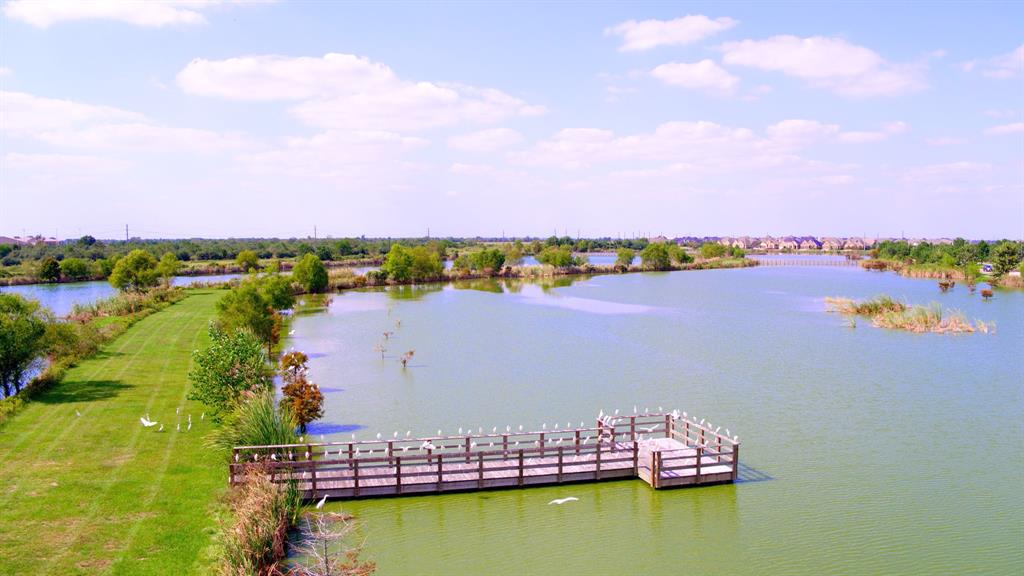 29610 Twisted Tree Trail, Fulshear, Texas image 5