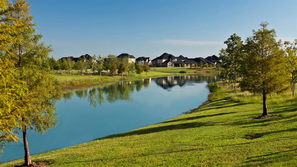 29610 Twisted Tree Trail, Fulshear, Texas image 4