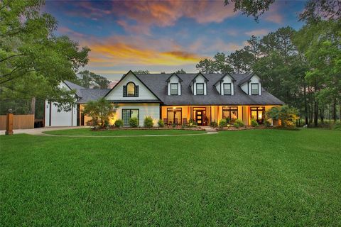 11698 Creek View Lane Conroe TX 77385