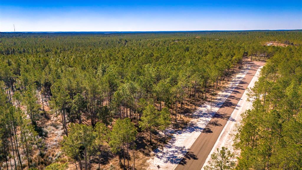 047 Tumbleweed Ranch Road, Onalaska, Texas image 6