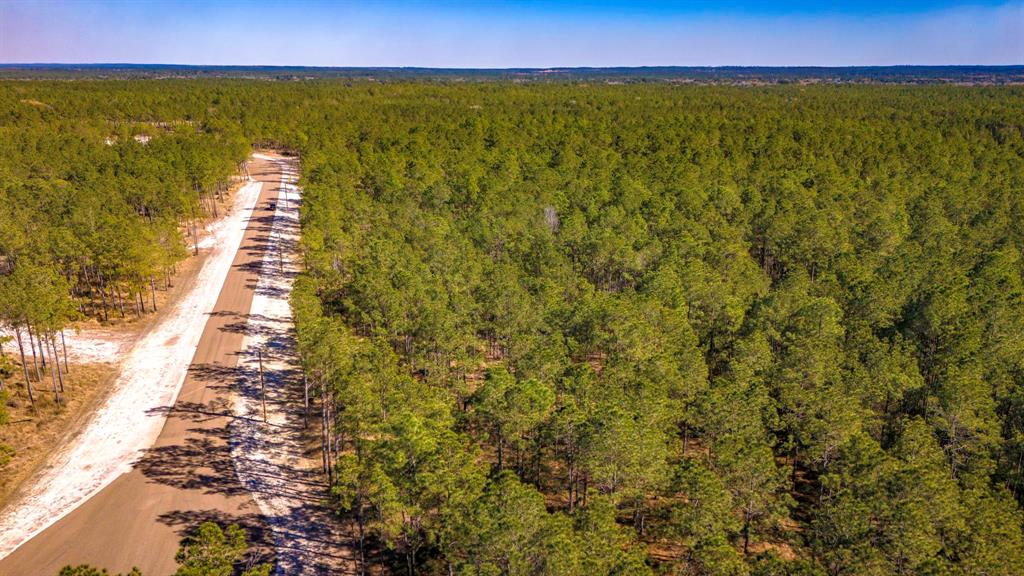 047 Tumbleweed Ranch Road, Onalaska, Texas image 4