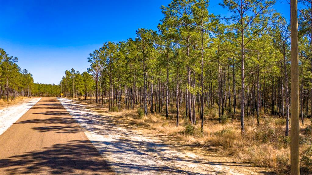 047 Tumbleweed Ranch Road, Onalaska, Texas image 3