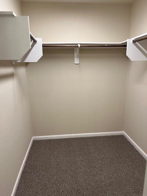 135 Bates Court, Huntsville, Texas image 19