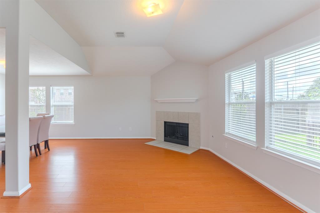 17203 Morning Blossom Place, Houston, Texas image 20