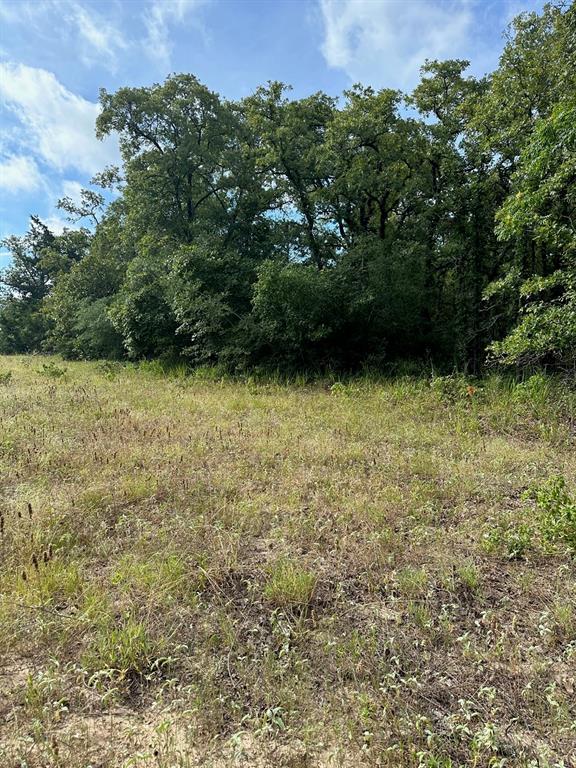 145 Private Road 6070, Cameron, Texas image 16