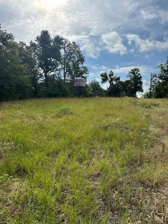 145 Private Road 6070, Cameron, Texas image 15