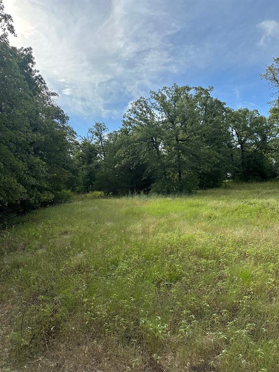 145 Private Road 6070, Cameron, Texas image 13