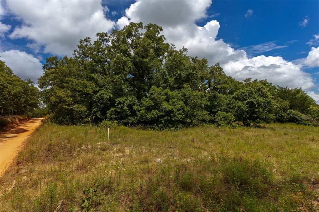 145 Private Road 6070, Cameron, Texas image 3
