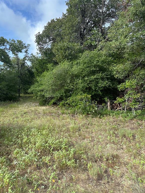 145 Private Road 6070, Cameron, Texas image 14