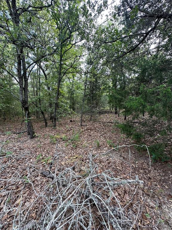 145 Private Road 6070, Cameron, Texas image 12