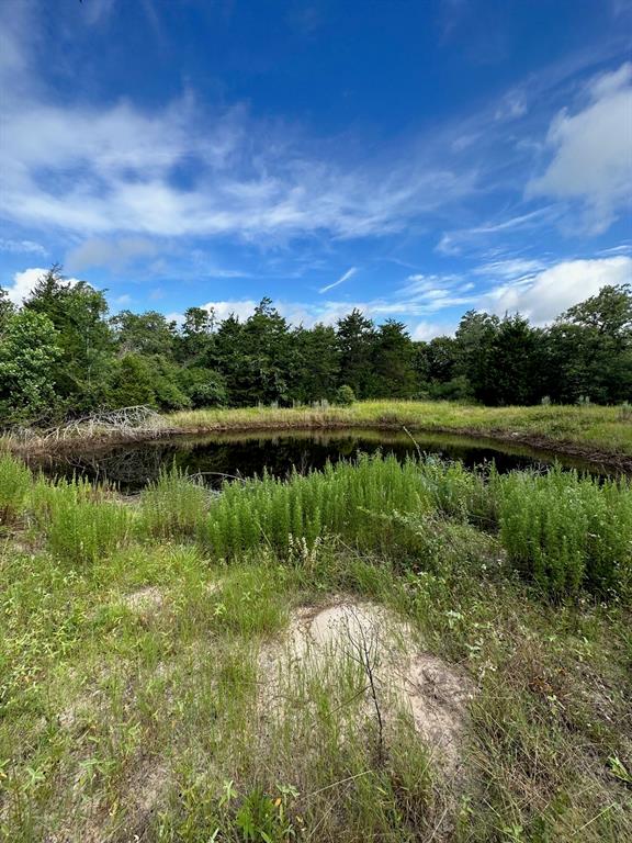 145 Private Road 6070, Cameron, Texas image 11