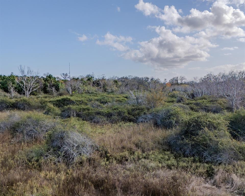 00 Tx-172, La Ward, Texas image 23