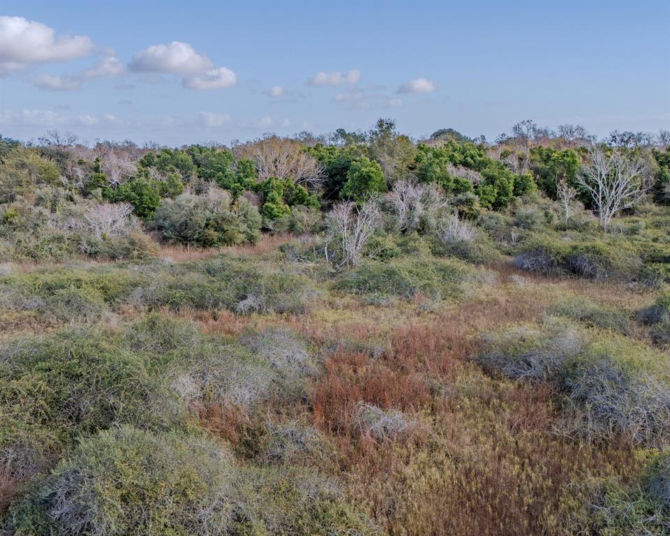 00 Tx-172, La Ward, Texas image 21